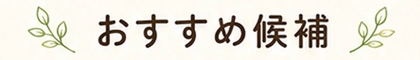 おすすめ候補
